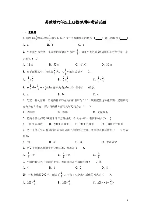 苏教版六年级上册数学期中考试试卷含答案