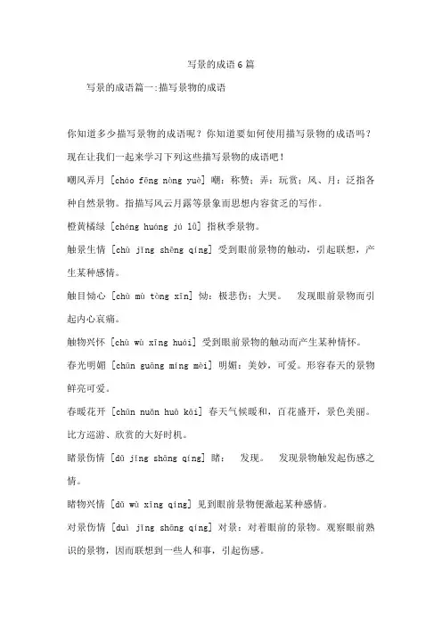 写景的成语6篇