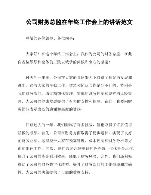 公司财务总监在年终工作会上的讲话范文