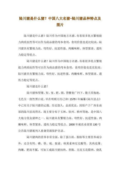 陆川猪是什么猪？中国八大名猪-陆川猪品种特点及图片