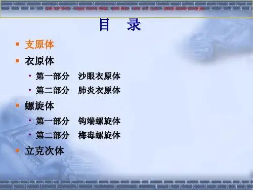 支原体立克次体衣原体和螺旋体培训课件