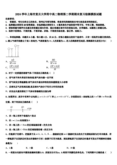 2024学年上海市复旦大学附中高二物理第二学期期末复习检测模拟试题(含解析)