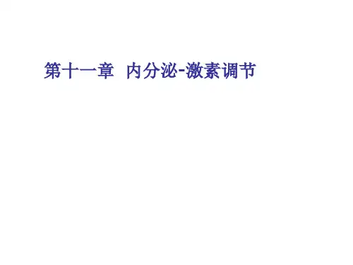 动物生理学课件第十一章.