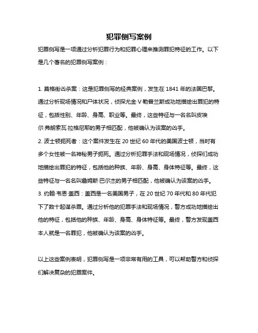 犯罪侧写案例