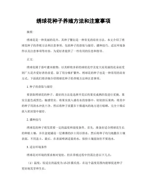 绣球花种子养殖方法和注意事项