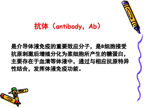 人卫5版医学免疫学第四章免疫球蛋白ppt课件