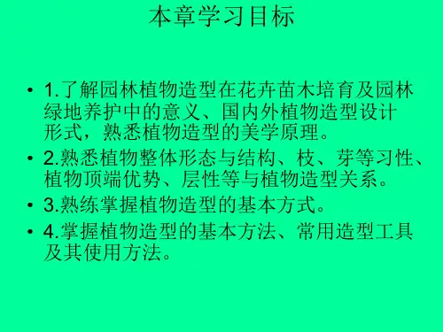 园林植物几何图案造型技术-1