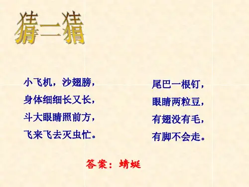 人教版小学美术二年级上册 蜻蜓飞飞 名师教学PPT课件