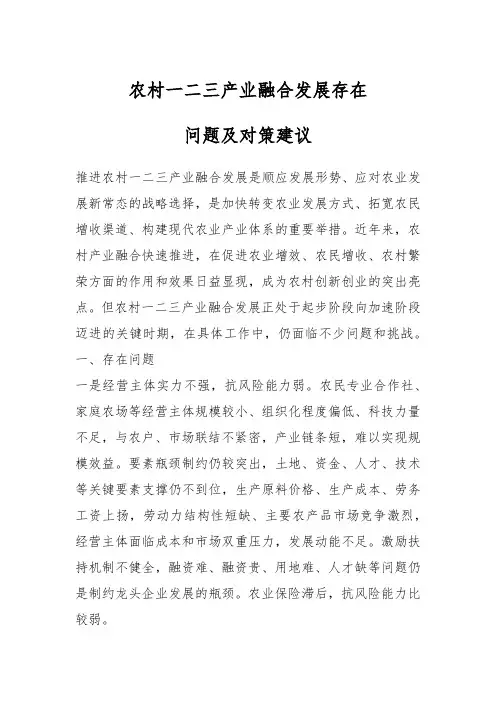 农村一二三产业融合发展存在问题及对策建议