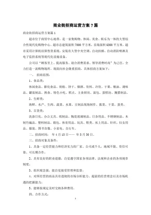 商业街招商运营方案7篇