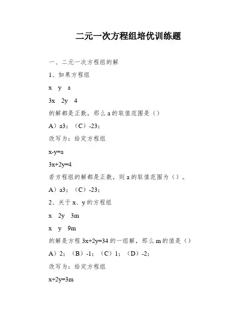 二元一次方程组培优训练题