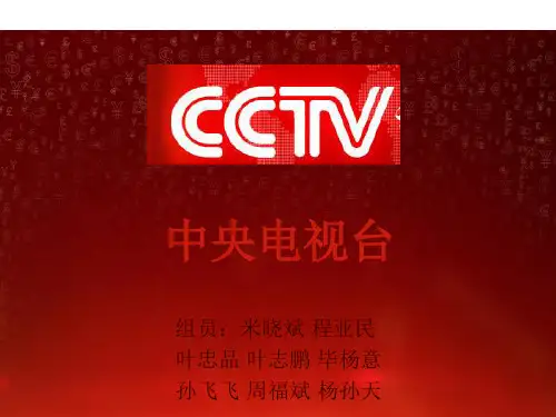 中央电视台组织架构分析