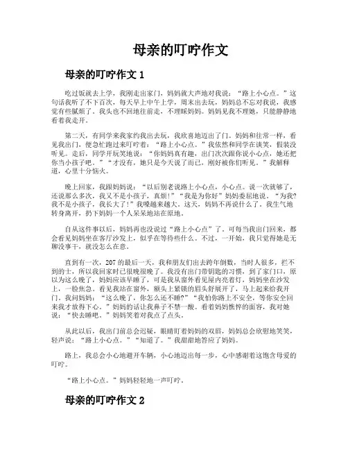 母亲的叮咛作文