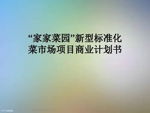 “家家菜园”新型标准化菜市场项目商业计划书