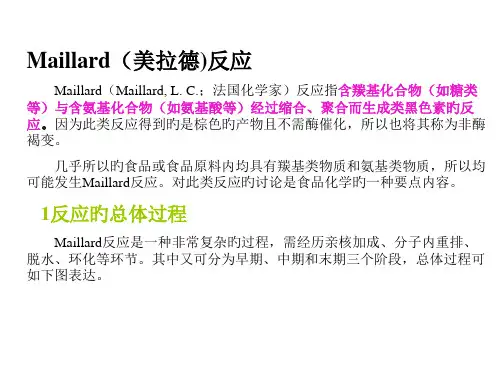 美拉德反应和焦糖化反应