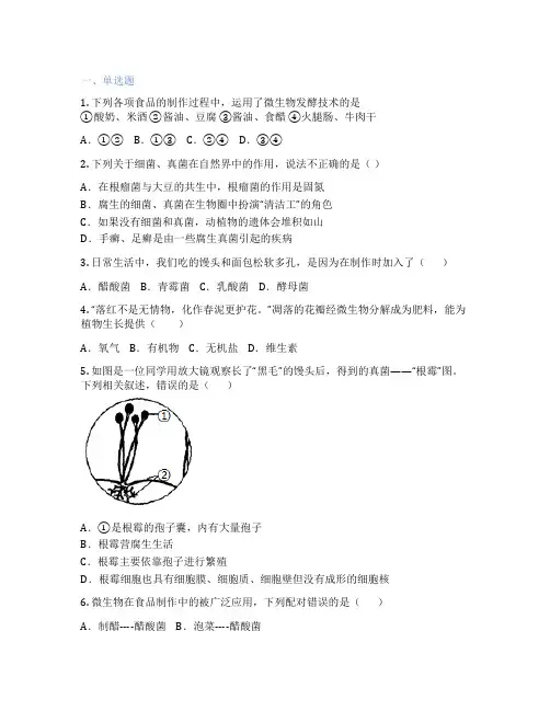 人教版生物 八年级上册 第四章 细菌和真菌 课后练习题