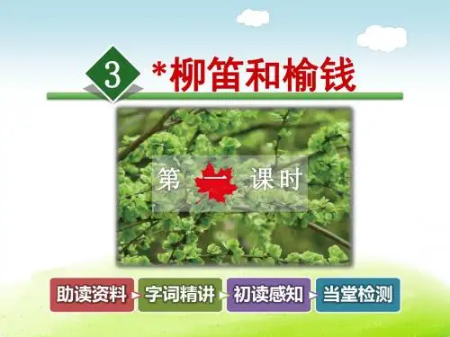 柳笛和榆钱PPT课件