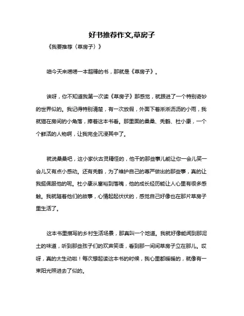 好书推荐作文,草房子