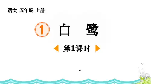 《白鹭》PPT课件(第1课时)