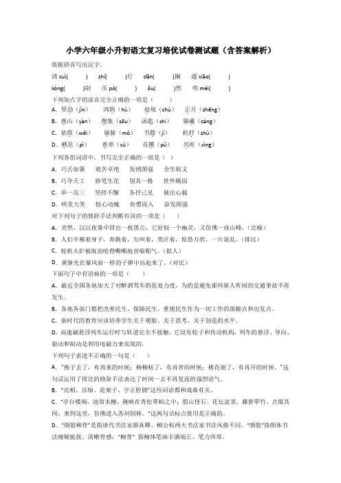 小学六年级小升初语文复习培优试卷测试题(含答案解析)