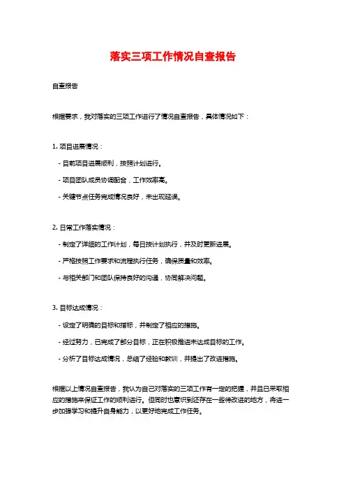 落实三项工作情况自查报告