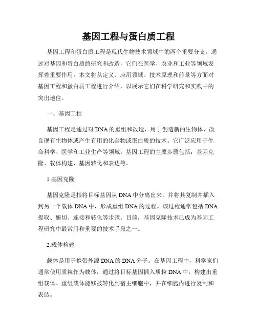 基因工程与蛋白质工程