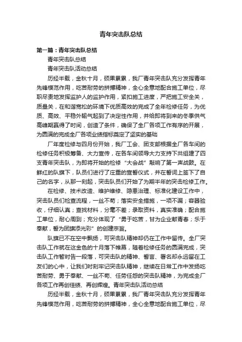 青年突击队总结