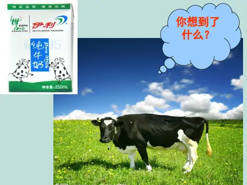 人体对食物的消化和吸收(第一课时)