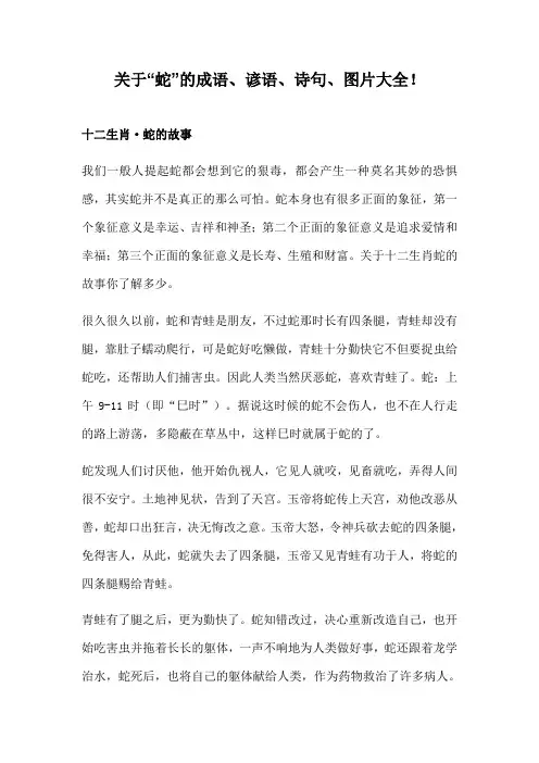 关于蛇的成语谚语诗句