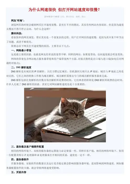 为什么网速很快 但打开网站速度却很慢