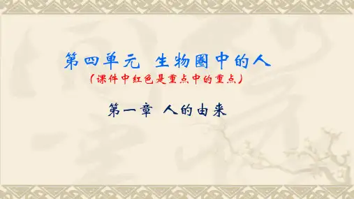 人教版七年级下册生物总复习课件(共44张PPT)