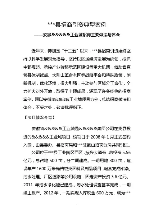 招商引资典型案例