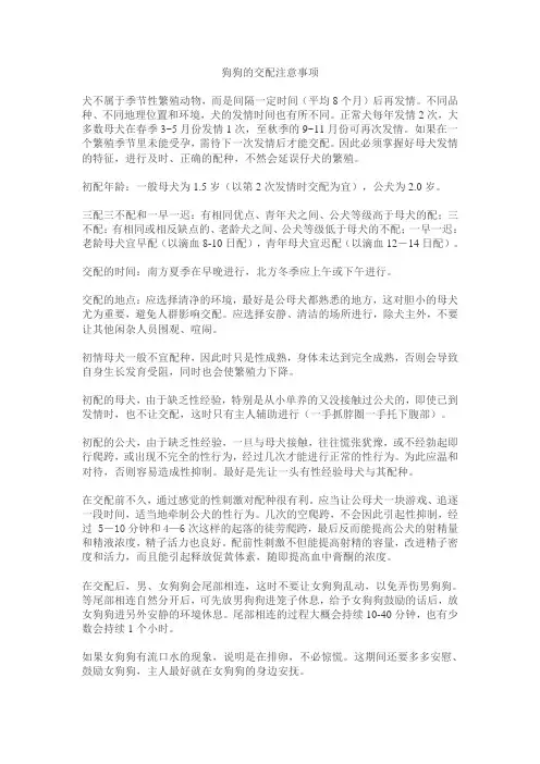 狗狗交配