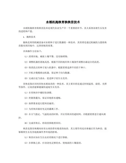 水稻机抛秧育秧秧苗技术