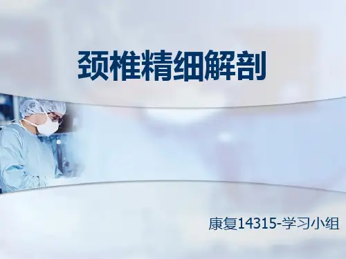 颈椎精细解剖PPT