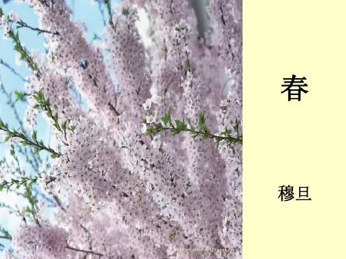 七年级语文春课件19
