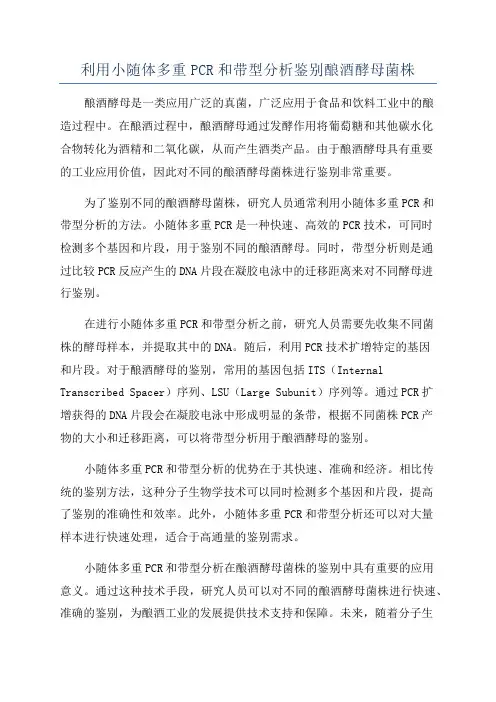 利用小随体多重PCR和带型分析鉴别酿酒酵母菌株