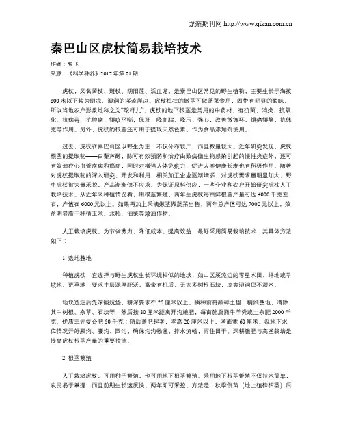 秦巴山区虎杖简易栽培技术
