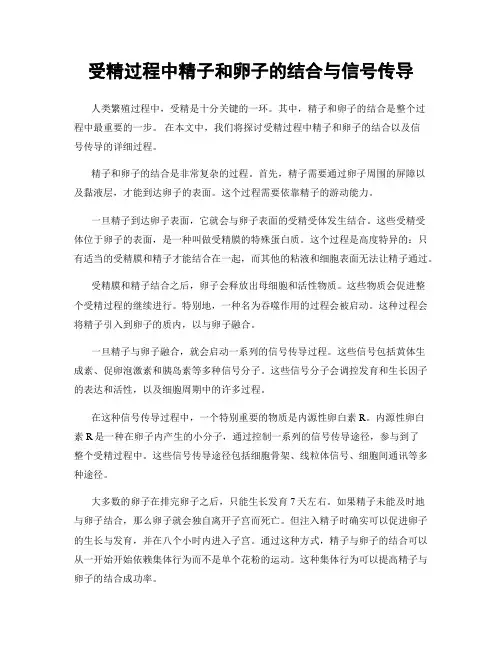 受精过程中精子和卵子的结合与信号传导