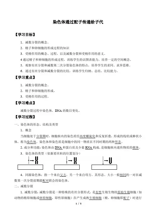 浙科版(2019)生物必修2：2.1 染色体通过配子传递给子代  学案