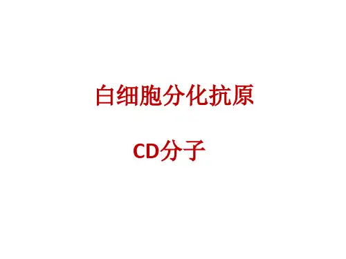 细胞表面膜分子