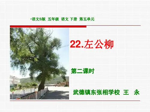 语文S版五年级下课件左公柳课件