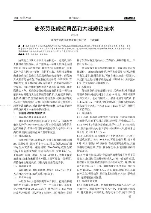 油茶芽砧嫁接育苗和大桩嫁接技术