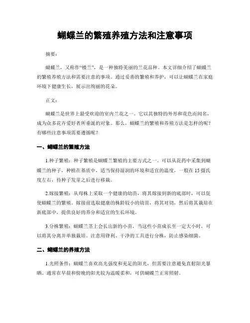 蝴蝶兰的繁殖养殖方法和注意事项