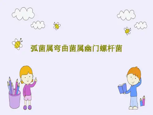 弧菌属弯曲菌属幽门螺杆菌29页PPT