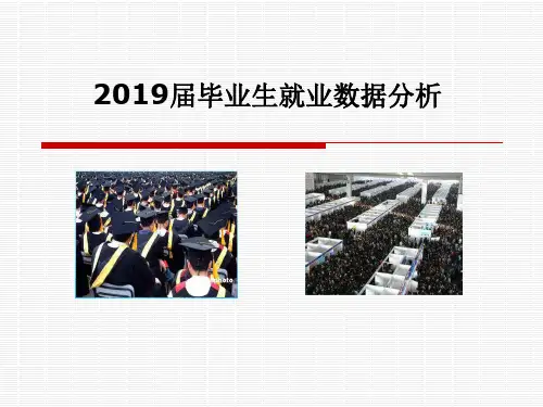 就业指导——2019届毕业生就业数据分析