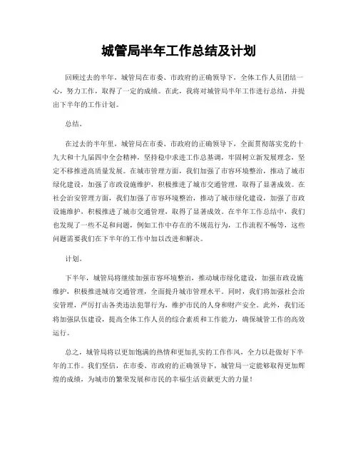 城管局半年工作总结及计划