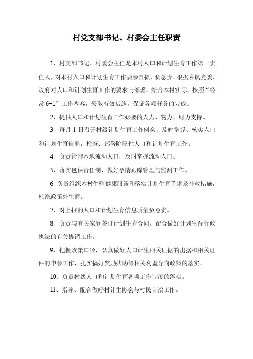 村党支部书记、主任职责