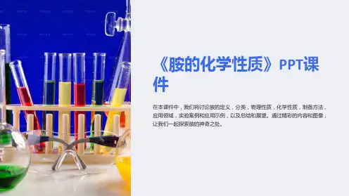 《胺的化学性质》课件