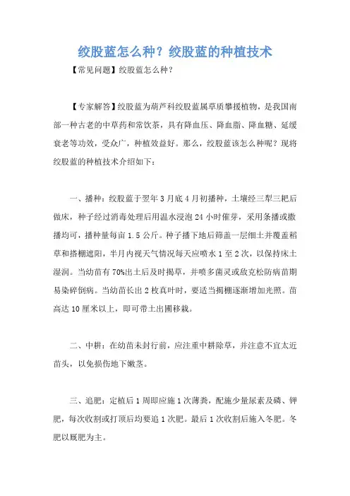 绞股蓝怎么种？绞股蓝的种植技术